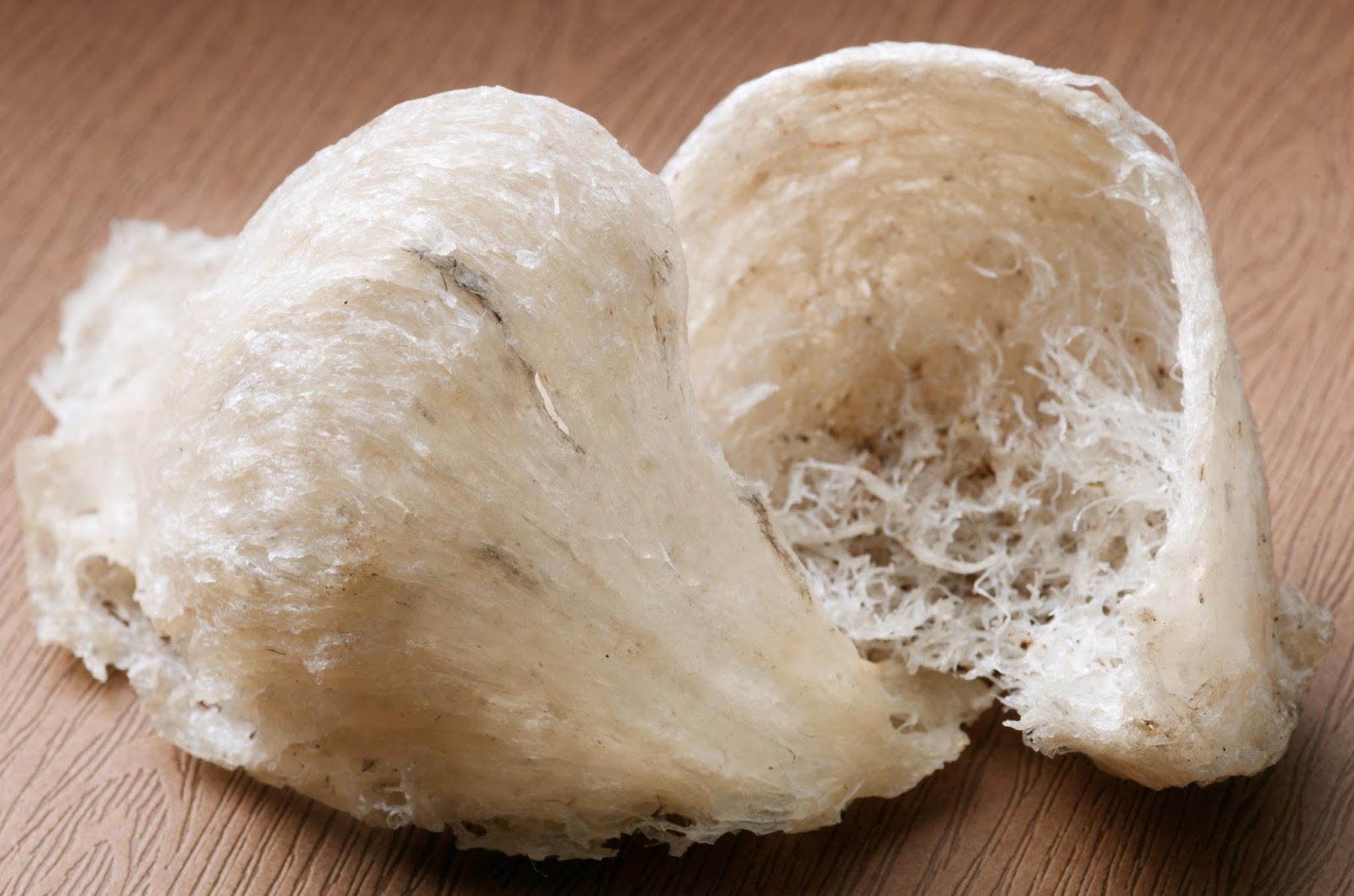 An Nam Yến Sào – Yến Sào Thượng Hạng Đậm Hồn Việt