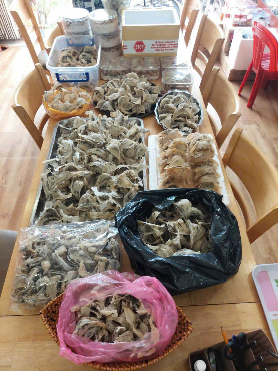 An Nam Yến Sào – Yến Sào Thượng Hạng Đậm Hồn Việt