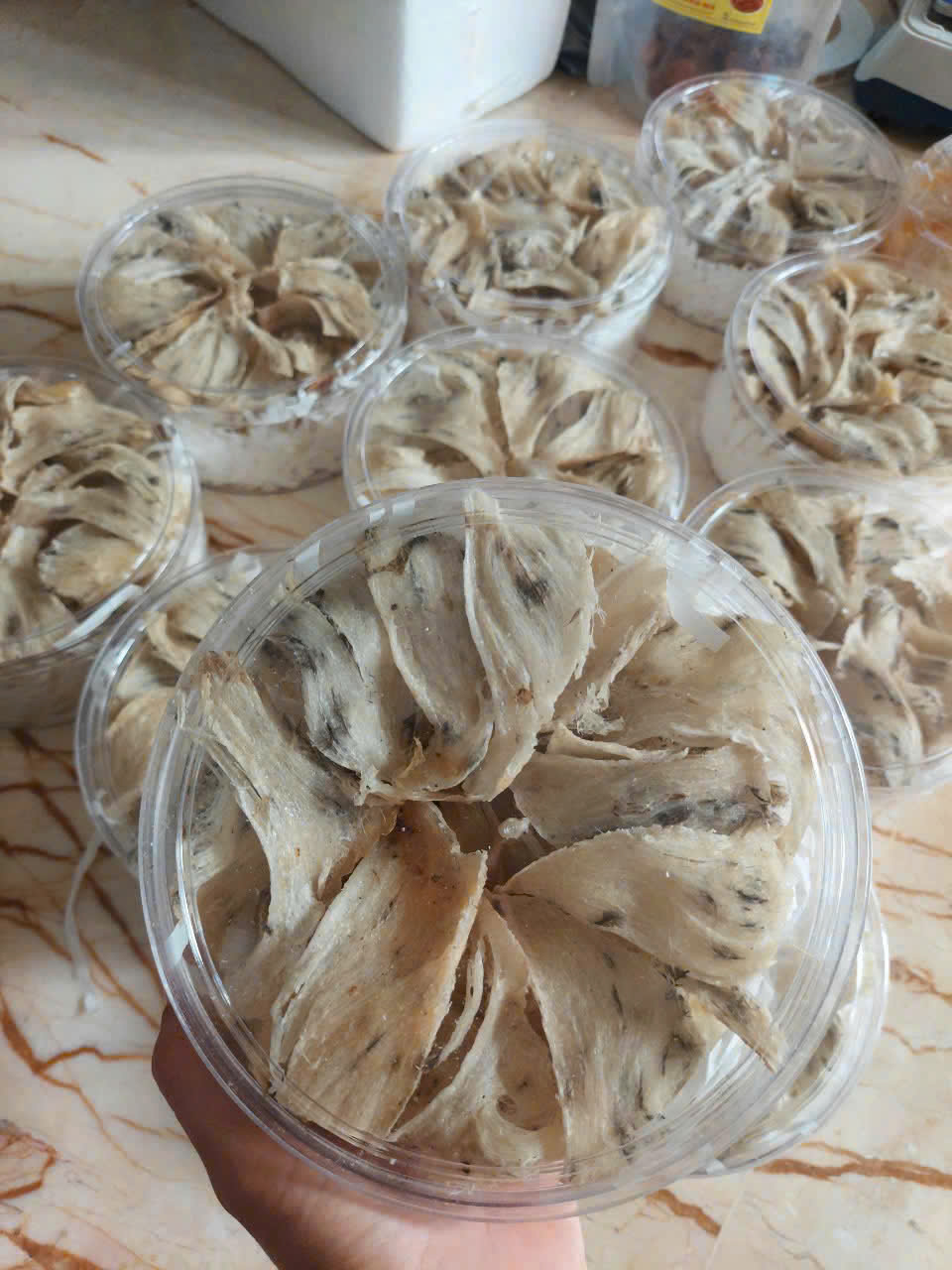 An Nam Yến Sào – Yến Sào Thượng Hạng Đậm Hồn Việt