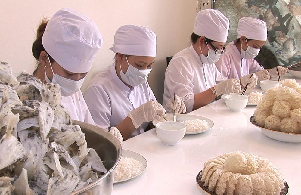 An Nam Yến Sào – Yến Sào Thượng Hạng Đậm Hồn Việt